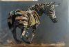 "Zebra in Motion"