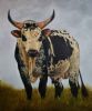 "Nguni Bull"