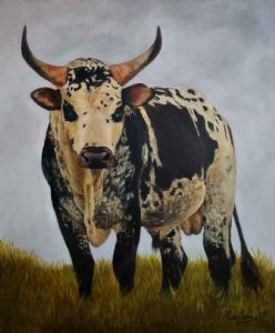 "Nguni Bull"