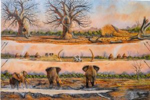 "Africa"
