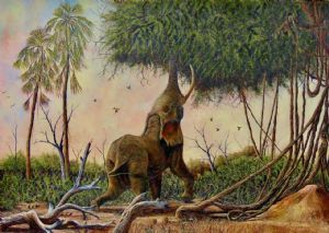 "Elephant tricks "