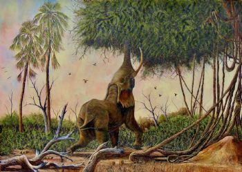 "Elephant tricks "