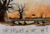 "Ground hornbills and Baobabs "