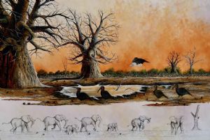 "Ground hornbills and Baobabs "