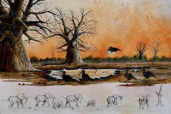"Ground hornbills and Baobabs "