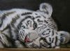 "White Tiger Cub"