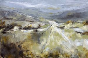 "Where Light Settles"