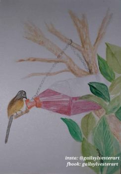 "Sunbirds FeedingII"