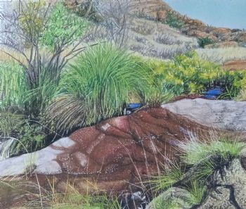 "Mountain Sanctuary Rivulet"