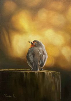 "Little Robin"