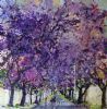 "Jacaranca 1"