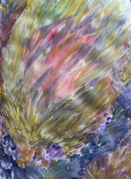 "King Protea "