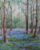 "Birch Forest with blue veld folwers"