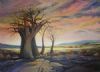 "Baobab"