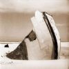 "Boat Wreck Cannon Rock"