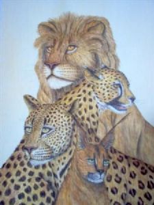 "African Cats"