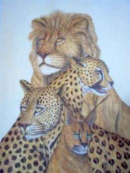 "African Cats"