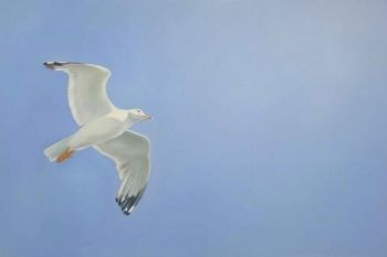 "Soaring"