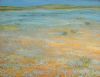 "Namaqualand, Field of Blue Flowers"