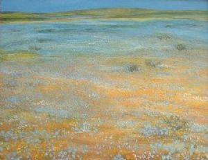 "Namaqualand, Field of Blue Flowers"