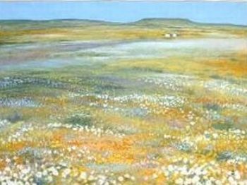 "Namaqualand, Platbergie"