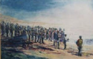 "Sardine Run"