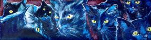 "Midnight Cats"