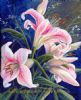 "Stargazer Lilies"