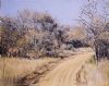 "Kudu Bushveld Retreat, NP"