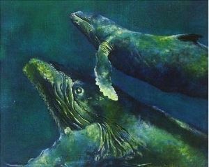 "Humpbacks"