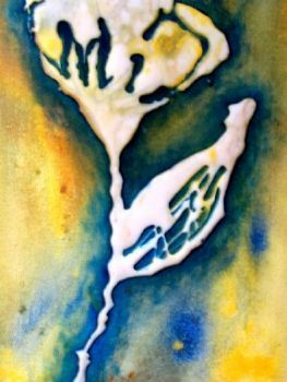 "The White Glue Flower"