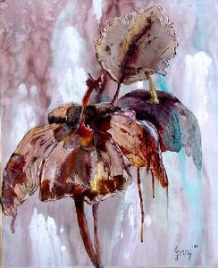 "Hibiscus flowers"