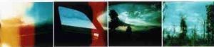 "Lost Landscapes Ii"