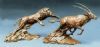 "Lion and gemsbok"