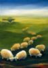 "Flock of sheep"