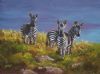 "Twillight Zebras"