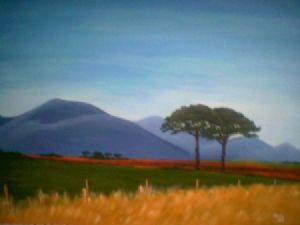 "Cape Fields"