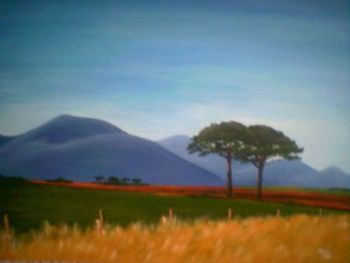 "Cape Fields"