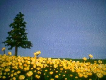 "Spring in Darling"