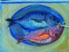 "Fish From the Sea"