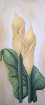 "Arum Lilies 1"