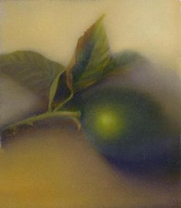 "From my garden 2"