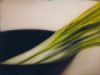"Bowl with Leeks"