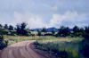 "Summer Day at Pilanesberg"