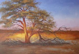 "Kahalari Sunset Tree"