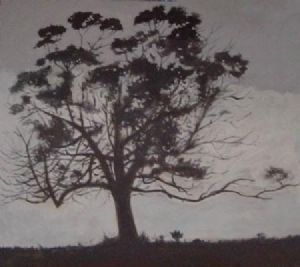 "Moonlight in Swellendam"