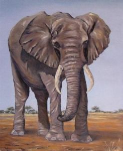 "Elephant Walk"
