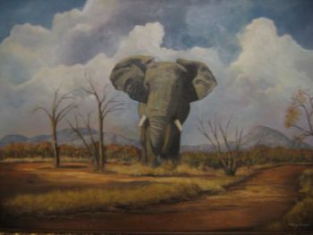 "Lonely Elephant Bull"