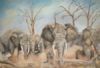 "African Elephants"