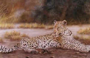 "Leopard"